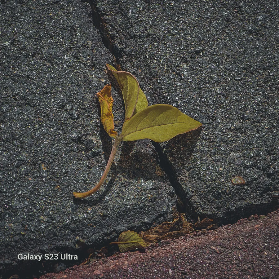 Noor’s phone photograph, frame 01, captured May 16, 2023.