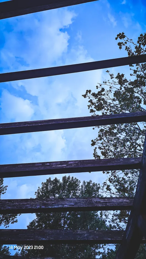 Noor’s phone photograph, frame 04, captured May 18, 2023.