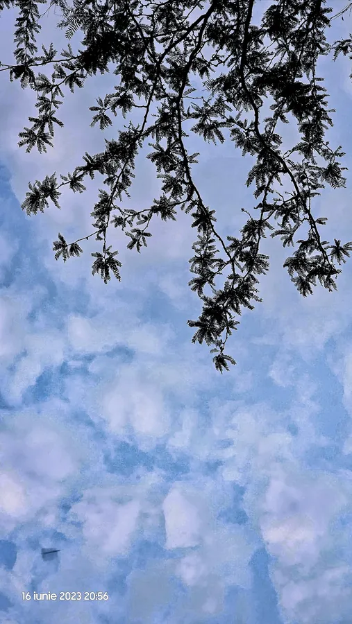 Noor’s phone photograph, frame 10, captured June 16, 2023.