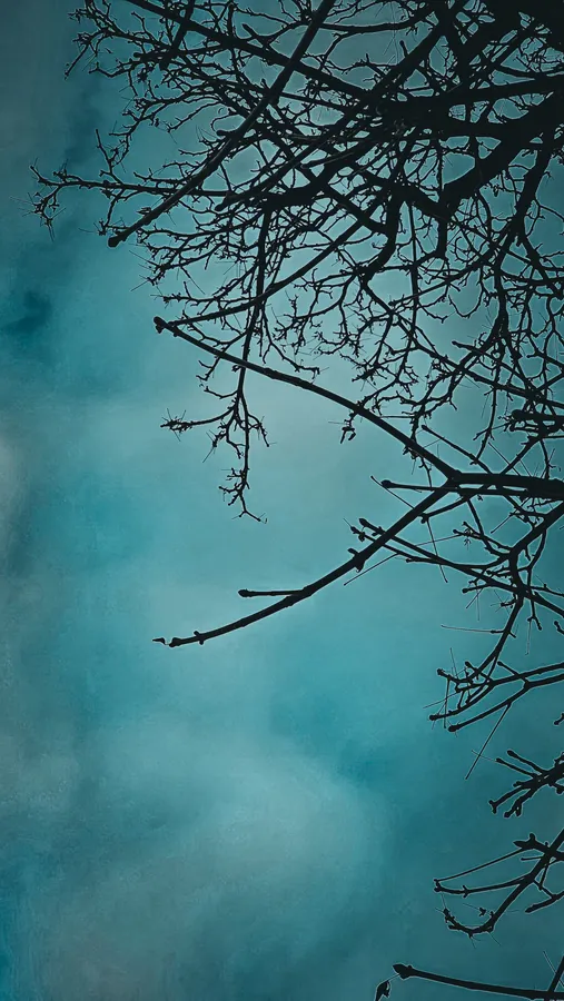 Noor’s phone photograph, frame 25, captured January 9, 2024.