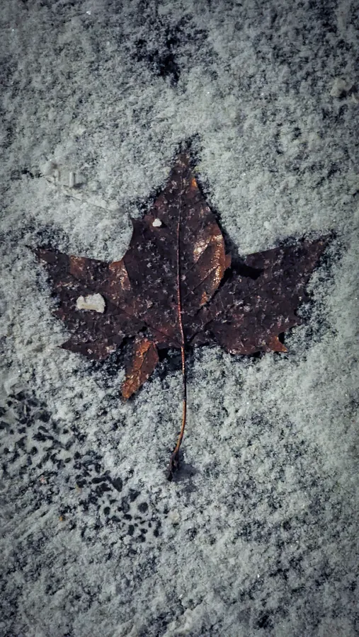 Noor’s phone photograph, frame 26, captured January 12, 2024.