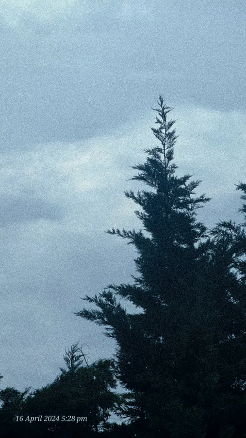 Noor’s phone photograph, frame 29, captured April 16, 2024.