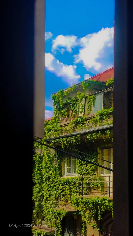 Noor’s phone photograph, frame 30, captured April 18, 2024.