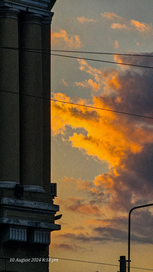 Noor’s phone photograph, frame 50, captured August 10, 2024.
